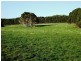 918 Old Grassy Road,, King Island TAS 7256