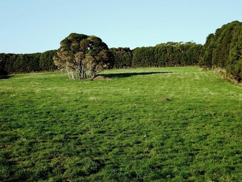 918 Old Grassy Road,, King Island TAS 7256