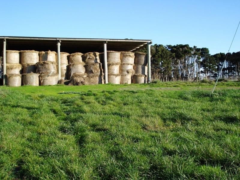 918 Old Grassy Road,, King Island TAS 7256