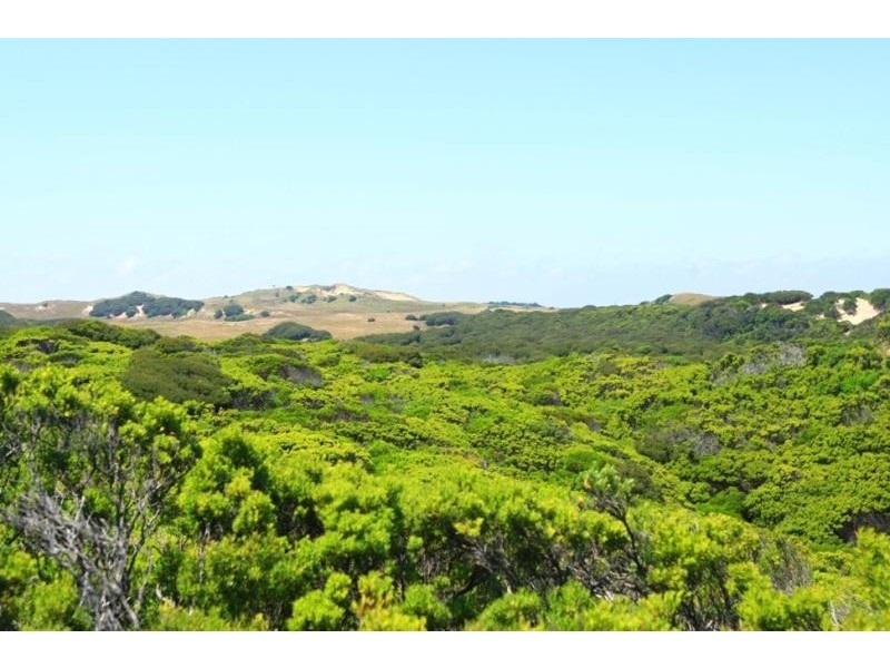 Lot 3 , North Yellow Rock Road, King Island TAS 7256