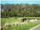 16 DUNNS ROAD, Christmas Hills TAS 7330
