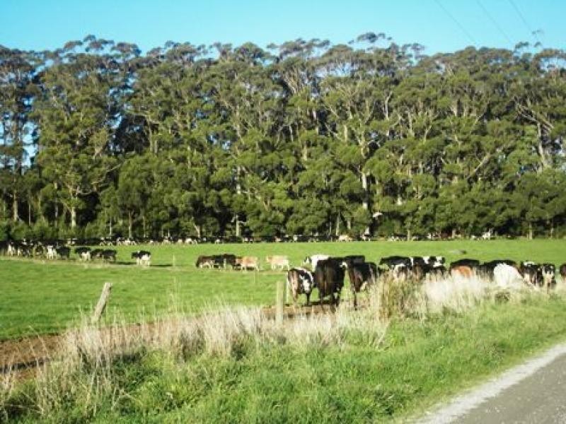 16 DUNNS ROAD, Christmas Hills TAS 7330