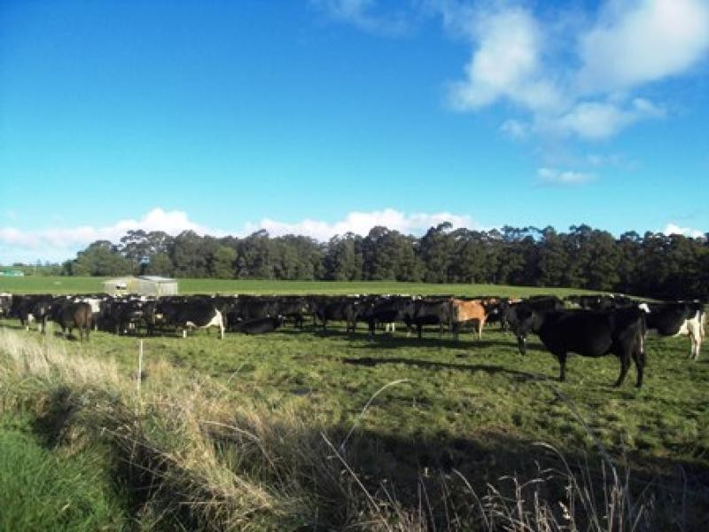 16 DUNNS ROAD, Christmas Hills TAS 7330