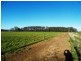 16 DUNNS ROAD, Christmas Hills TAS 7330