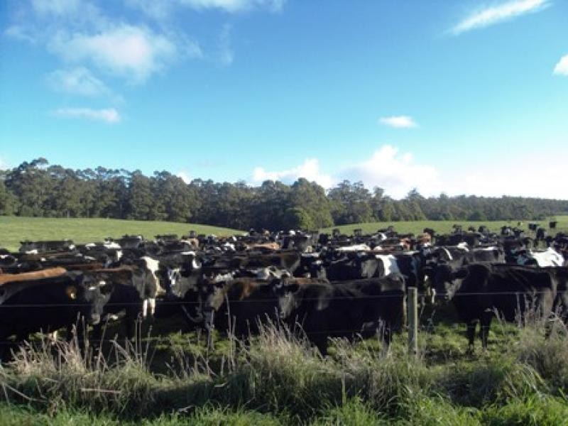 16 DUNNS ROAD, Christmas Hills TAS 7330