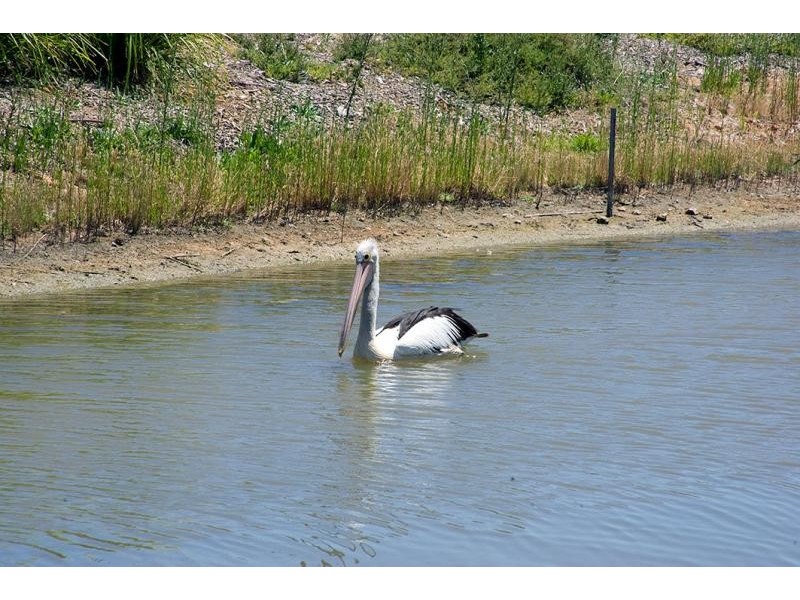 4 Victoria Parade, Mawson Lakes SA 5095