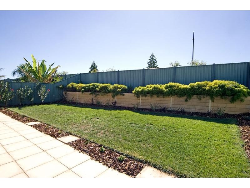 8 Hinchinbrook Ave, Mawson Lakes SA 5095