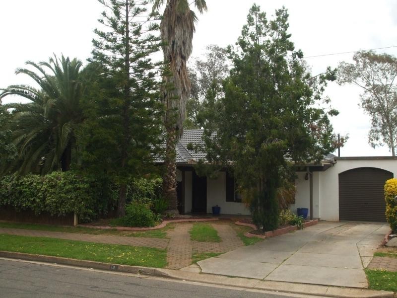 12 Snowdon Avenue, Salisbury East SA 5109