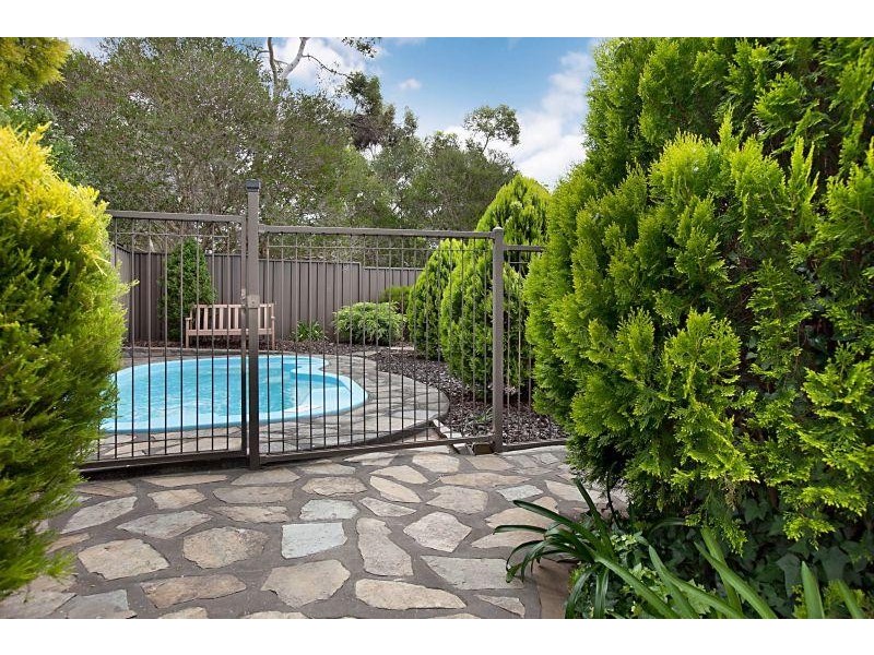 15 John Renwick Place, Modbury Heights SA 5092