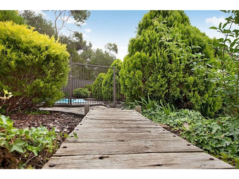 15 John Renwick Place, Modbury Heights SA 5092