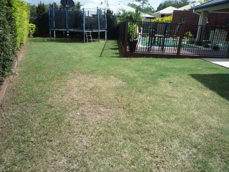 Warner QLD 4500