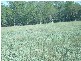 LOT 9, 9 HUBBARDS ROAD, Chinchilla QLD 4413