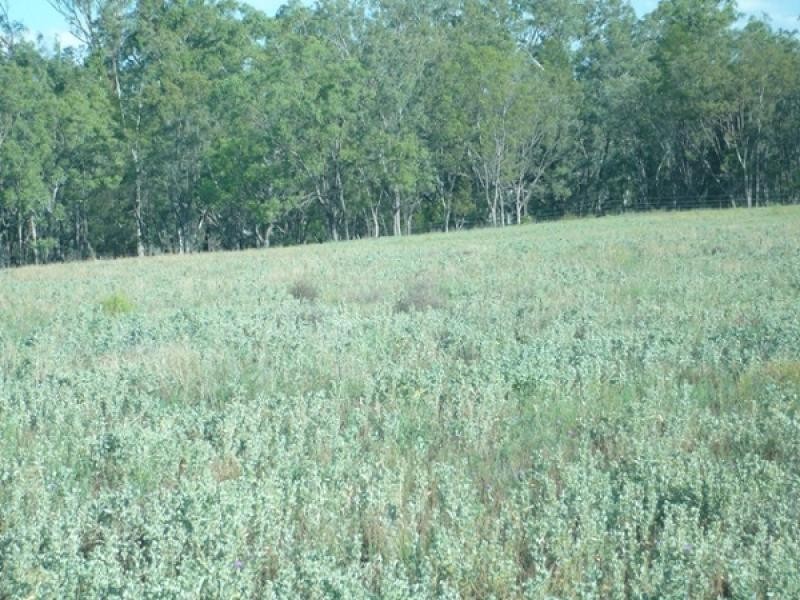 LOT 9, 9 HUBBARDS ROAD, Chinchilla QLD 4413