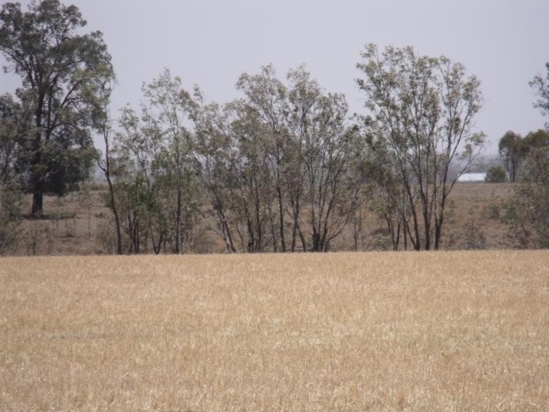 Lot 100/ Racecourse Road, Chinchilla QLD 4413