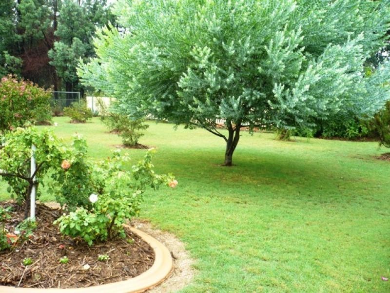 13 Warren Street, Chinchilla QLD 4413