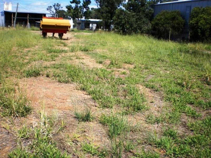 Lot 145/ Mary Street, Miles QLD 4415