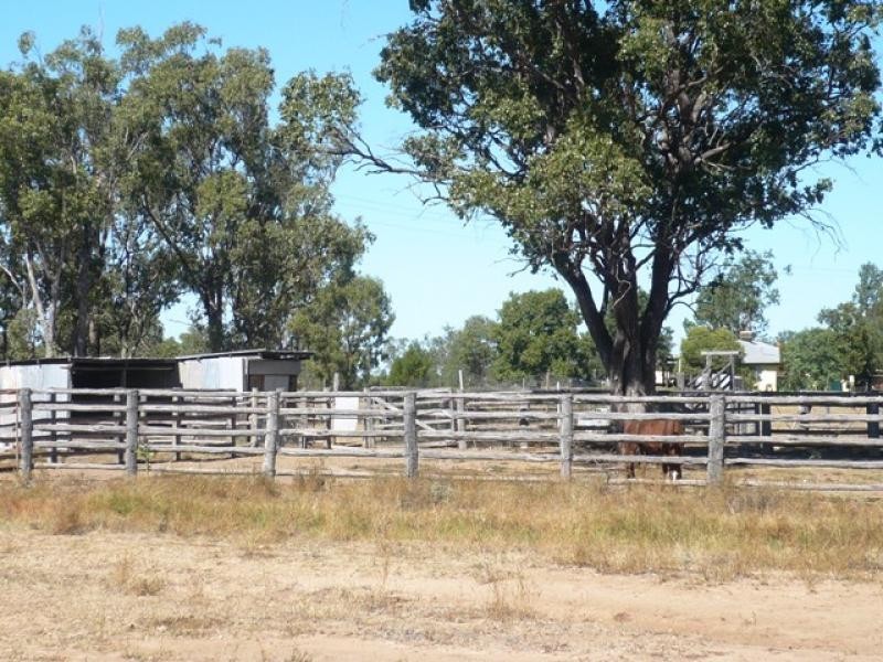 181 Old Cameby Road181 Old Cameby Road, Miles QLD 4415