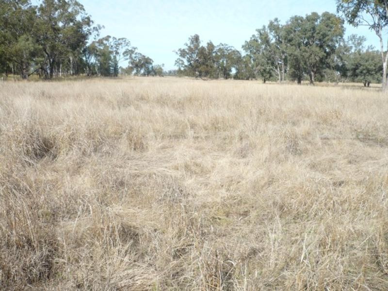 Lot 22 RACECOURSE ROAD, Chinchilla QLD 4413
