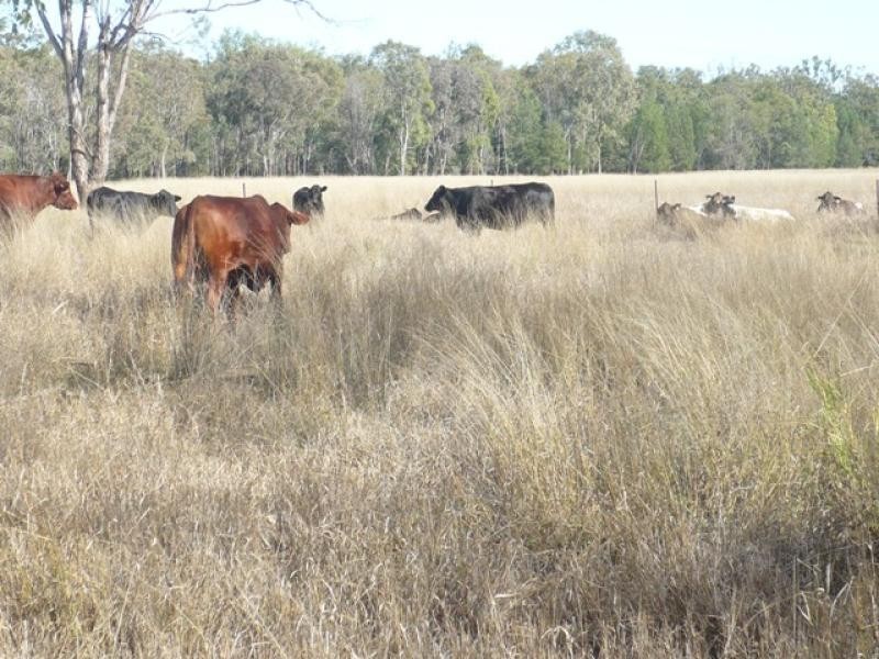 Lot 22 RACECOURSE ROAD, Chinchilla QLD 4413