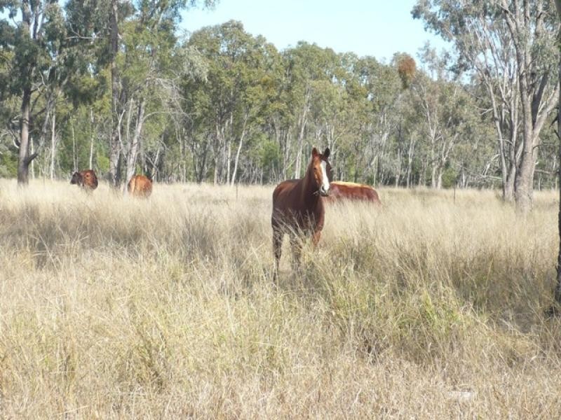 Lot 22 RACECOURSE ROAD, Chinchilla QLD 4413