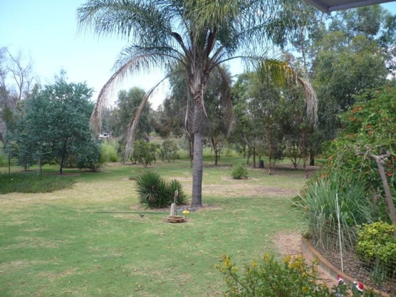 11 MIZPAH DRIVE11 MIZPAH DRIVE, Chinchilla QLD 4413