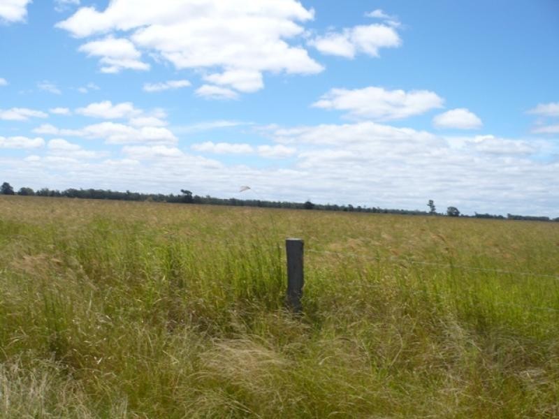 765 Braithwaites Road, Burncluith QLD 4413