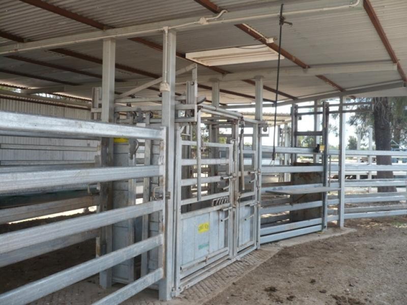 765 Braithwaites Road, Burncluith QLD 4413