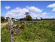 LOTS 323 & 324 ARCHER STREET, SOUTH GRAFTON, Grafton NSW 2460