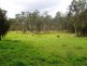 926 Clarence Way, Grafton NSW 2460