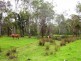 926 Clarence Way, Grafton NSW 2460