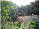 7056 OLD GLEN INNES ROAD, Dalmorton NSW 2460