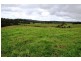 670 Moleton Road, Lowanna NSW 2450