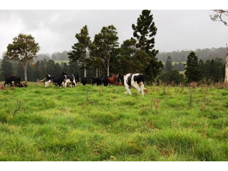 670 Moleton Road, Lowanna NSW 2450