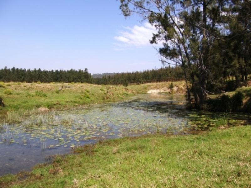 1278 Laytons Range Road, Grafton NSW 2460