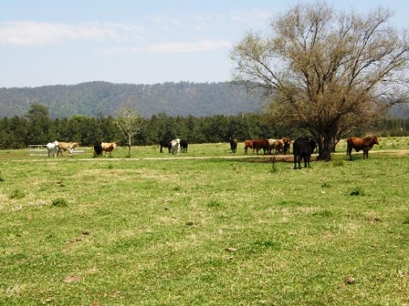 1278 Laytons Range Road, Grafton NSW 2460