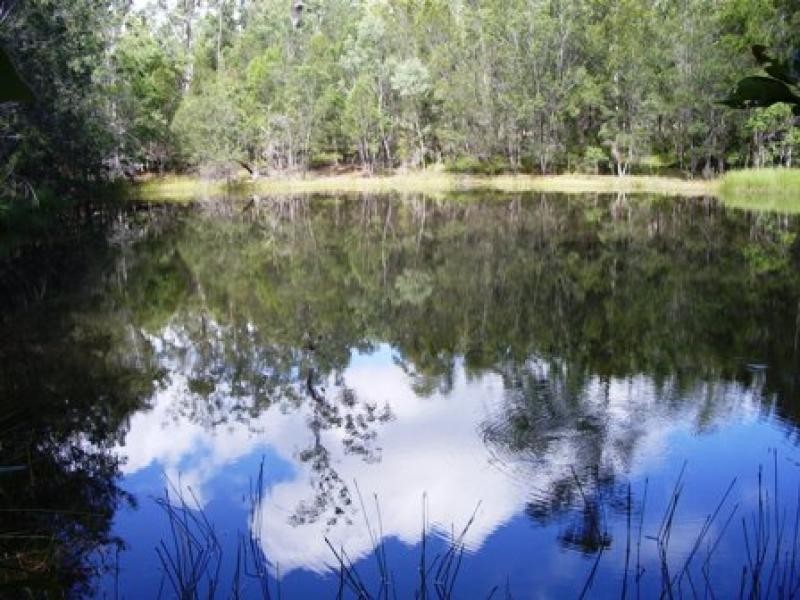 623 BOSTOCK ROAD, Pillar Valley NSW 2462