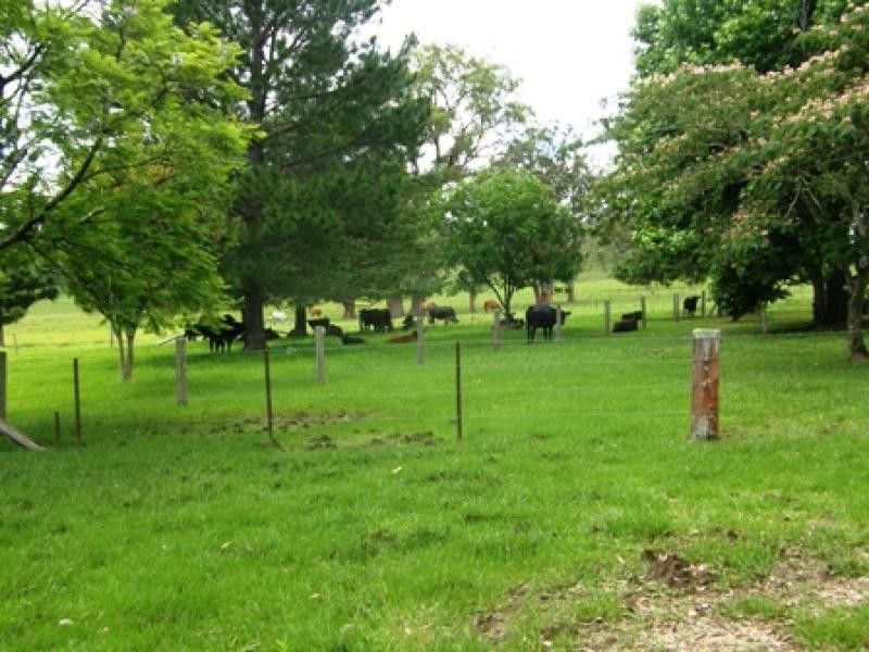 2381 KANGAROO CREEK ROAD, Kangaroo Creek NSW 2460