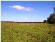 449 BACK KINGS CREEK ROAD, Lawrence NSW 2460
