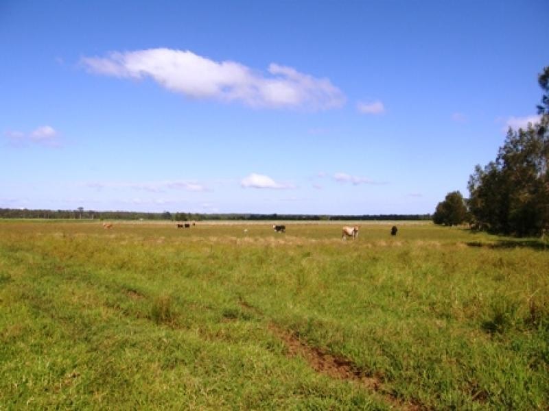 449 BACK KINGS CREEK ROAD, Lawrence NSW 2460