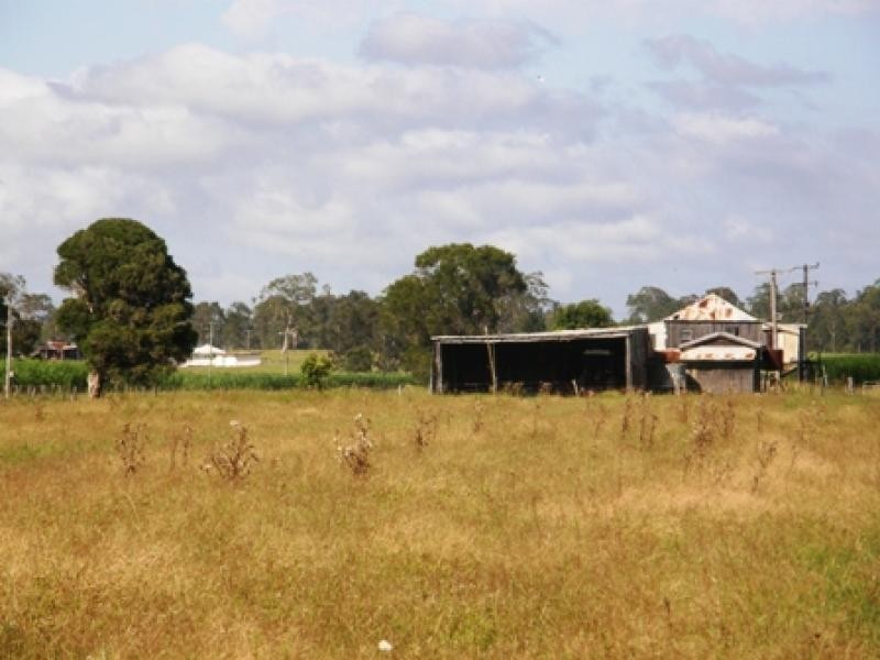 449 BACK KINGS CREEK ROAD, Lawrence NSW 2460