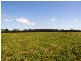 449 BACK KINGS CREEK ROAD, Lawrence NSW 2460