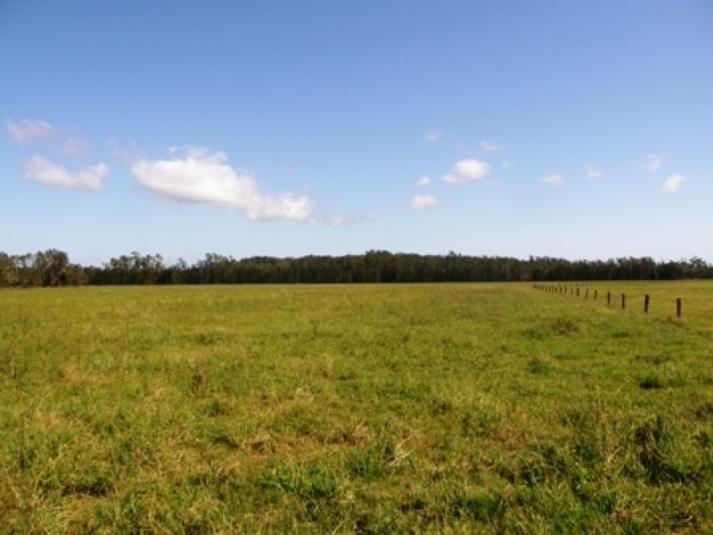 449 BACK KINGS CREEK ROAD, Lawrence NSW 2460