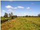 449 BACK KINGS CREEK ROAD, Lawrence NSW 2460