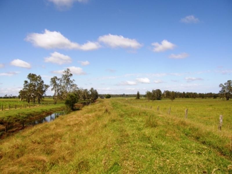 449 BACK KINGS CREEK ROAD, Lawrence NSW 2460
