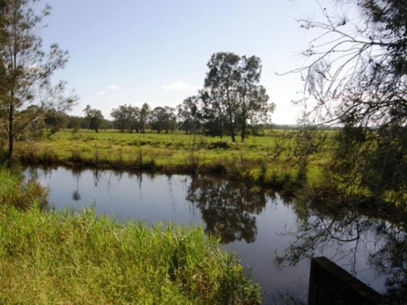 449 BACK KINGS CREEK ROAD, Lawrence NSW 2460