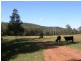 2324 Armidale Road, Blaxlands Creek, Grafton NSW 2460