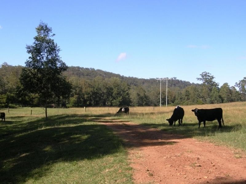 2324 Armidale Road, Blaxlands Creek, Grafton NSW 2460