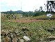 5607 CLARENCE WAY, Upper Fine Flower NSW 2460