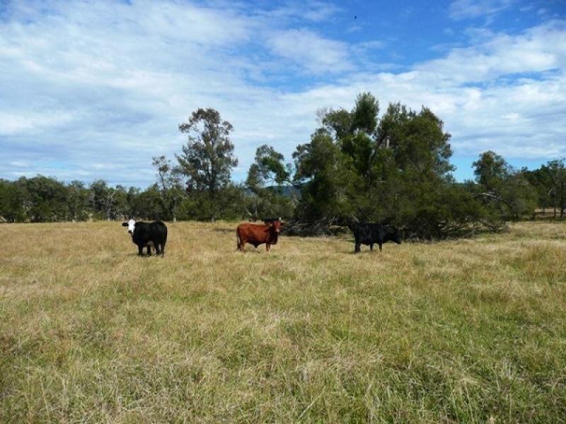 5607 CLARENCE WAY, Upper Fine Flower NSW 2460