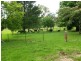 2381 Kangaroo Creek Road, Kangaroo Creek NSW 2460